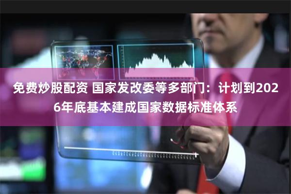 免费炒股配资 国家发改委等多部门：计划到2026年底基本建成国家数据标准体系