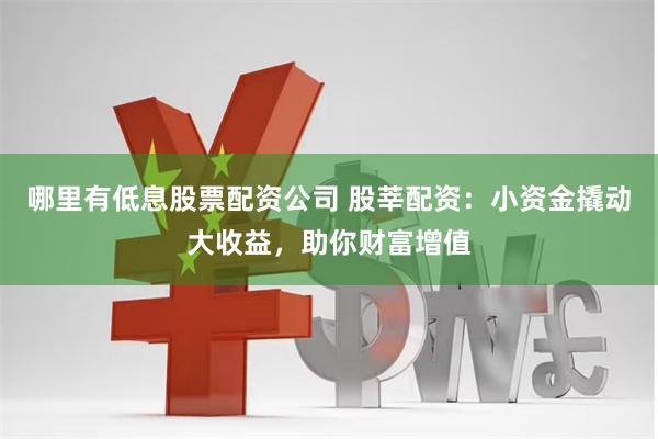 哪里有低息股票配资公司 股莘配资：小资金撬动大收益，助你财富增值