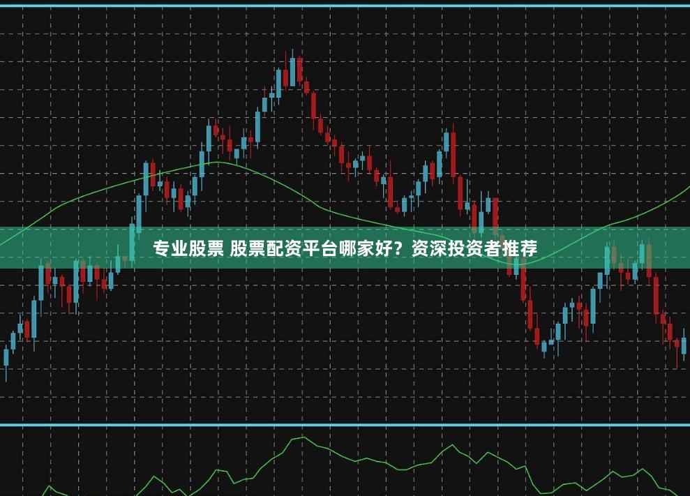 专业股票 股票配资平台哪家好？资深投资者推荐
