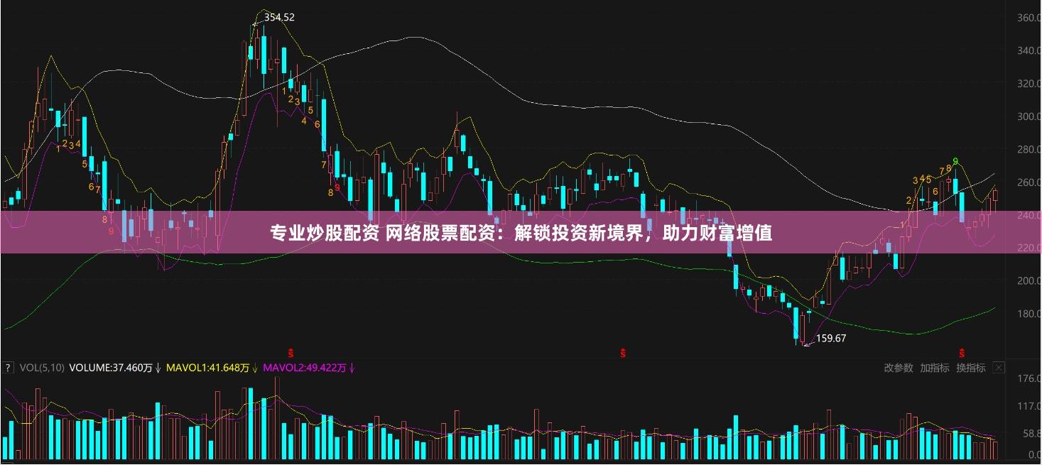 专业炒股配资 网络股票配资：解锁投资新境界，助力财富增值